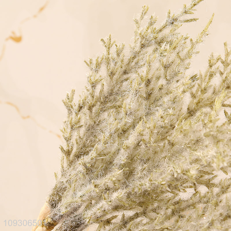 Most popular natural simulated frost flowers plants