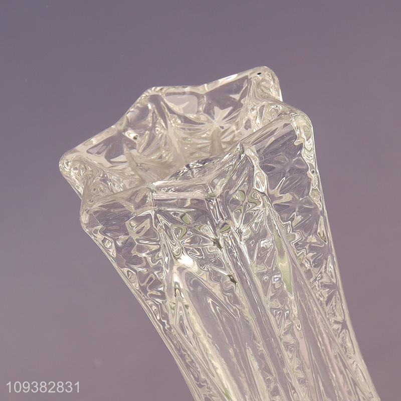 Top sale glass flower vase hydroponic vase for decoration