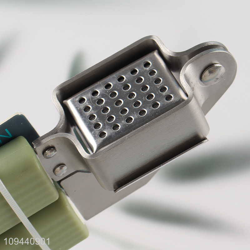 Factory price garlic press for crushing garlic