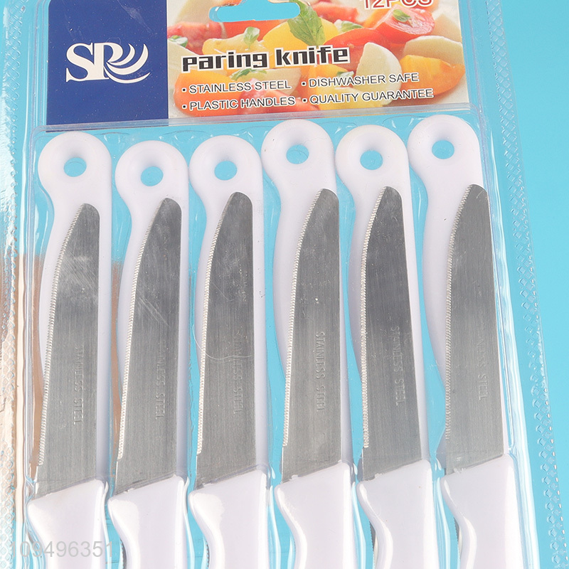 Latest products   12pcs kitchen dinner knife fruits knife