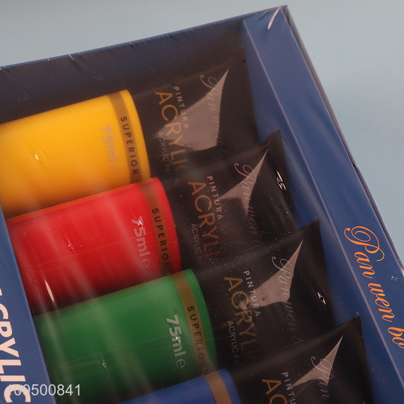 China products 6colors art acrylic paint set