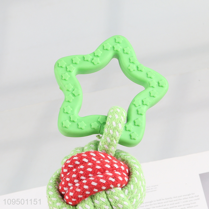 China wholesale bite-resistant pet chew toys interactive toys