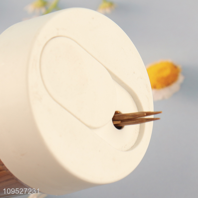 Top quality 450pcs carbonized bamboo toothpicks